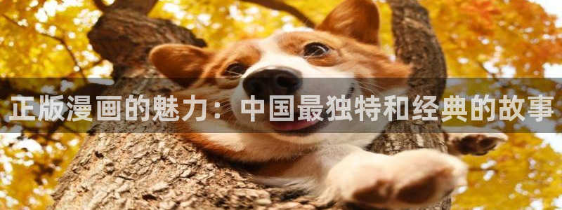 羞羞漫画网址在线看：正版漫画的魅力：中国最独特和经典的故事