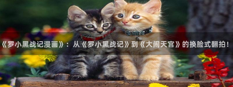 羞羞漫画继母的香味：《罗小黑战记漫画》：从《罗小黑战记》到《大闹天宫》的换脸式翻拍！